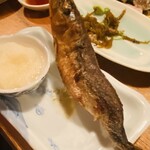 夜ノ焼魚 ちょーちょむすび - 