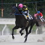 CAFE 英國屋 梅地下店 - 友人お気に入りのダイチョウセブンさん10歳♂も2ヶ月半ぶりの掲示板！