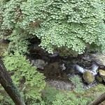 ちわき - 