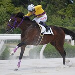 CAFE 英國屋 梅地下店 - 園田最年長のメメニシコリさん12歳♂も2戦続けて掲示板でした！