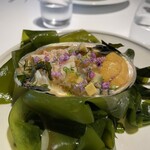 レフェルヴェソンス - 