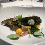 レフェルヴェソンス - 