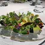 レフェルヴェソンス - 