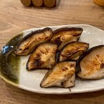 吉田山せせり - 