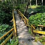 アルフォンソカフェ - 