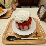 TSUKIMISOU Shave Ice - 