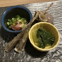 masahiro - 