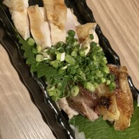masahiro - 