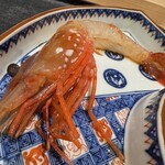 鮨 こん藤 - 活ボタン海老は初！弾力がものすごい！！