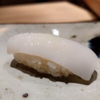鮨 つぼみ - 新烏賊