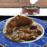 おらいの滝観洞 - ありすポークの滝流しカレー（税込850円）