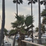 リストランテAO 逗子マリーナ - 