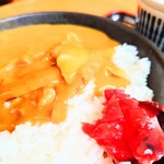 やぶ善 - 玉葱、人参、豚コマの入った、軽くスパイシーなカレー。