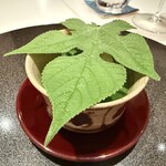 TOMONO - 一品目【 鮑 】