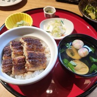 炭焼 うな富士 有楽町店 - 小うなぎ丼