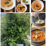 石焼料理専門店 スパジオ・ディ・ルッソ - 