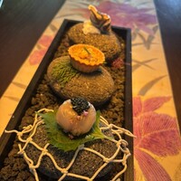 タケル クインディチ(LOQUAT) 西伊豆 - 