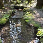 小林 地鶏の里 - 