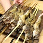 徳ㇵ本也 - ・京丹後市産 ハタハタ