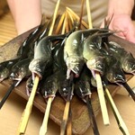 徳ㇵ本也 - ・京都府産 清滝の天然アユ