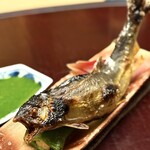 徳ㇵ本也 - ・京都府産 清滝の天然アユの炭焼き