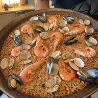 anchoa - 