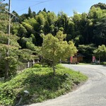 村上家本舗 白雪 - 