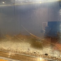 中納言 大阪駅前第3ビル店 - 