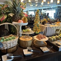 XEX TOKYO / Salvatore Cuomo Bros. - 