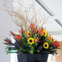 オテル・ド・ヨシノ - 