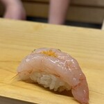 鮓 錦の秋 - 甘海老（北海道　増毛）