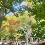 GAFLO CAFE by Flower FIELD - 