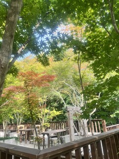 ガフロカフェ バイ フラワーフィールド - 