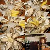 オストレア oysterbar&restaurant 銀座コリドー通り店