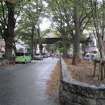 コパ デ カフェ - けやき並木の突き当りが大国魂神社