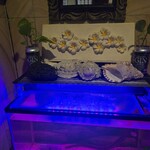 LEVEL4 - 