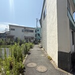 スパイス・ツリー - 