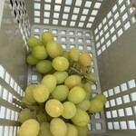 ストロベリーランド筑西 - 