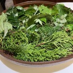 mærge - 本日使用のハーブ