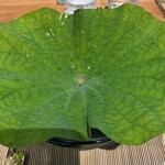 来人喜人　はぎ原 - 蓮子の葉にすだち