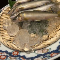 土佐料理 祢保希 日本橋店 - 