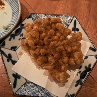 SHIKAKU - 