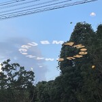 手作りハンバーグアペゼ - 