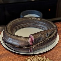 蒼 - 