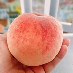 日本橋ふくしま館 ミデッテ - 