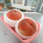 日本橋ふくしま館 ミデッテ - 