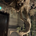 アニマリベラ - 