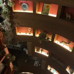 アニマリベラ - 