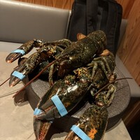 PLEIN 銀座本店 - 