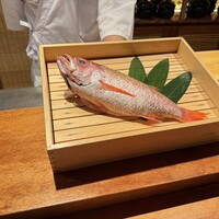 のどぐろ専門 銀座中俣 極 - 